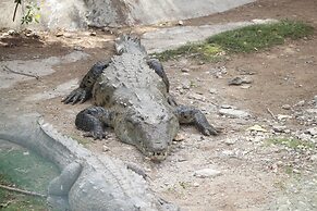 Mais oui Tennis and Spa Villa