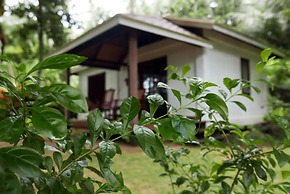 Dolarog Beach Resort