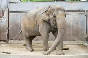 Richmond Hotel Utsunomiya Ekimae