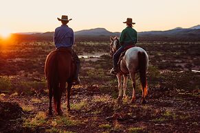 Cheela Plains Station