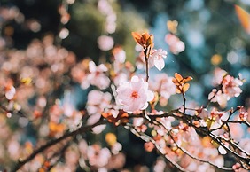 HOTEL SUI AKASAKA byABEST