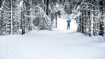 Guest House du Grand Paradis