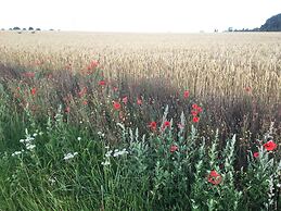 Borrby frö - Bed & Breakfast