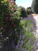 Borrby frö - Bed & Breakfast