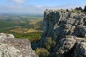Finca Encinar de las Flores