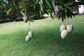 Casa Estrella Mirabal