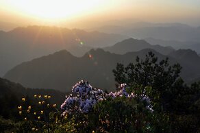 Songyang Utea Guesthouse