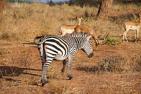 Angata Serengeti