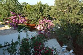 Ulivi Al Sole - Charming B&B