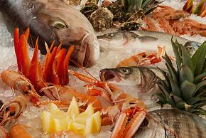 Volito Hotel - Rural Experience