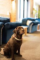 COMIS Hotel & Golf Resort