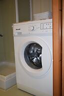 Astrantia-Adults Only