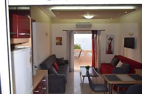 Astrantia-Adults Only