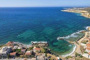 Astrantia-Adults Only