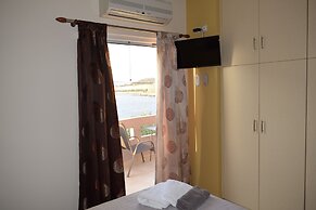 Astrantia-Adults Only