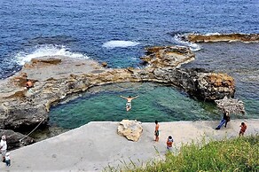 Astrantia-Adults Only