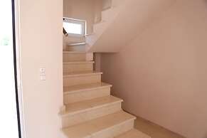 Astrantia-Adults Only