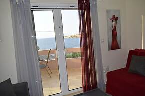 Astrantia-Adults Only