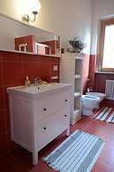 Il Pettirosso