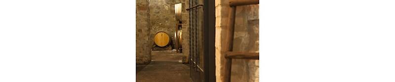 Quercia Al Poggio