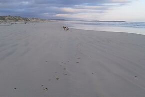 Franskraal Collection