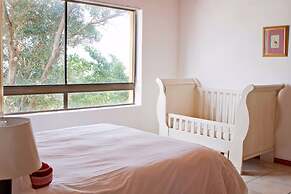 Franskraal Collection