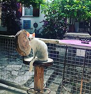 Eski Datca Pansiyon Cafe