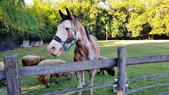 El Milagro Hospedaje y Cabañas