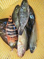 Aundanao Oasis Beach