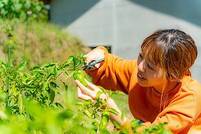 Share Creative&Bed 'adonoan'