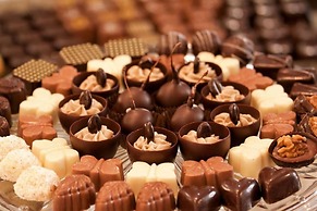 Hotel Continental ex Gardenija