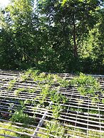 Sen Yun Zhuang Yuan Homestay