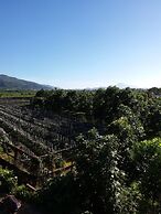 Sen Yun Zhuang Yuan Homestay