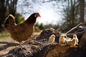 Château Latour Segur Suites & Spa
