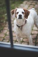 Château Latour Segur Suites & Spa