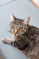 Château Latour Segur Suites & Spa