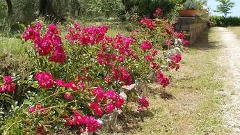 Agriturismo Le Quattro Stagioni