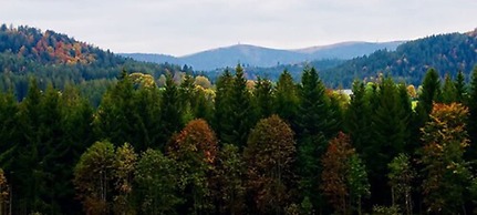 Hotel Zartenbach B&B