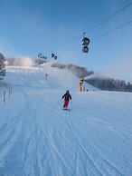 Saalbach Apartments Landhaus Bernkogel