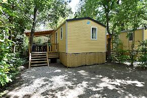 Camping Du Pont D'Avignon