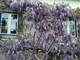 Villa Casa do Sobral