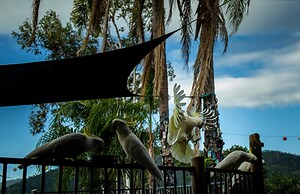 Backpackers By The Bay