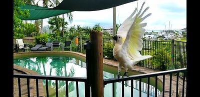 Backpackers By The Bay