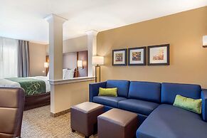 Comfort Inn & Suites Schenectady - Scotia