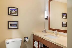 Comfort Inn & Suites Schenectady - Scotia