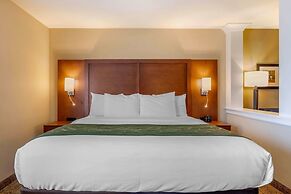 Comfort Inn & Suites Schenectady - Scotia