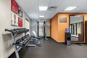 Comfort Inn & Suites Schenectady - Scotia