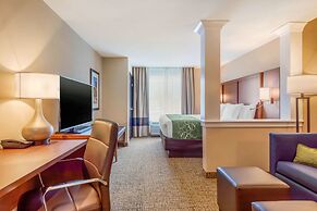 Comfort Inn & Suites Schenectady - Scotia