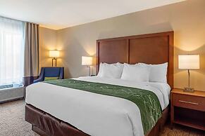 Comfort Inn & Suites Schenectady - Scotia