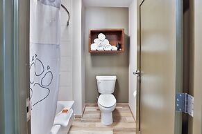 Great Wolf Lodge Atlanta / LaGrange, GA